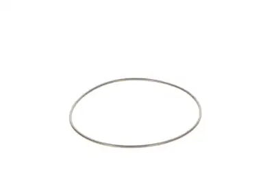 BOSCH 2440210044 O-Ring - 17. Görsel