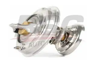 BSG 60125013 Termostat