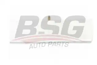 BSG 65924024 Kapı Bandı Arka Sağ