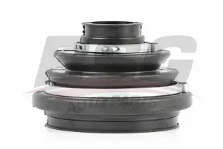 BSG 65705023 Aks Körüğü İç