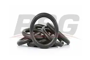 BSG 30922074 Emme Manifold Oringi Takım