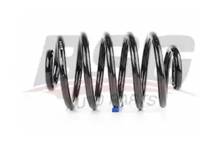 BSG 65305019 Helezon Yayı Arka