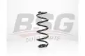 BSG 90305005 Helezon Yayı Ön