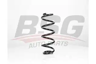 BSG 90305005 Helezon Yayı Ön