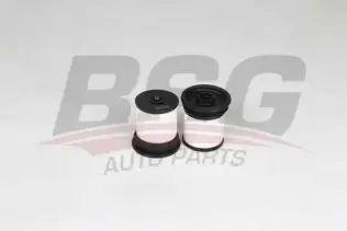 BSG 16130002 Yakıt Filtresi