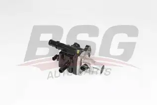 BSG 16126004 Termostat