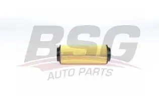 BSG 60140019 Yağ Filtresi
