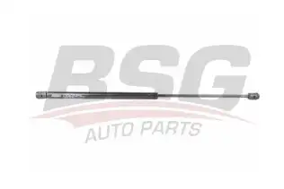 BSG 40980010 Bagaj Amortisörü