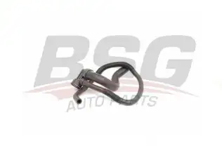 BSG 65720211 Radyatör Hortumu Alt