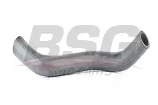 BSG 40720024 Radyatör Hortumu Alt
