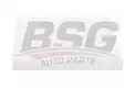 BSG 40145008 Polen Filtresi