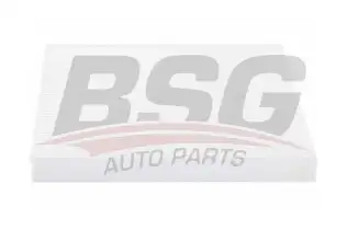 BSG 40145008 Polen Filtresi