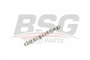 BSG 40108001 Eksantrik Mili