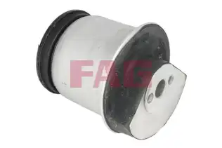 FAG 829051910 Aks