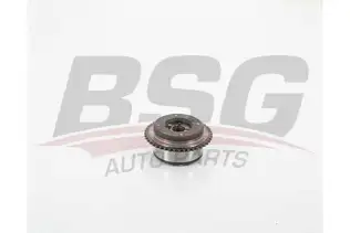 BSG 60109013 Egzos Vanos Dişlisi