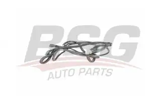 BSG 75720037 Yakıt Depo Hortumu