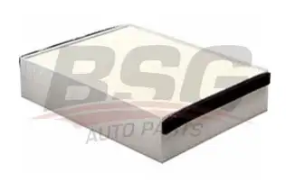 BSG 30145017 Polen Filtresi