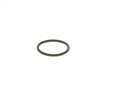 BOSCH 2440210039 Lastik - 7. Görsel