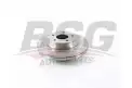 BSG 30210049 Fren Diski Arka