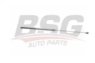 BSG 90980003 Motor Kaput Amortisörü