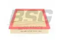 BSG 65135004 Hava Filtresi