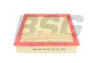 BSG 65135004 Hava Filtresi