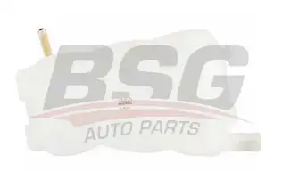 BSG 65550013 Radyatör Yedek Su Deposu