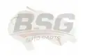 BSG 65550005 Radyatör Yedek Su Deposu