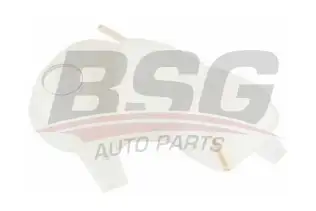 BSG 65550005 Radyatör Yedek Su Deposu