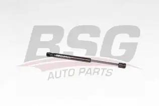 BSG 40980060 Bagaj Amortisörü