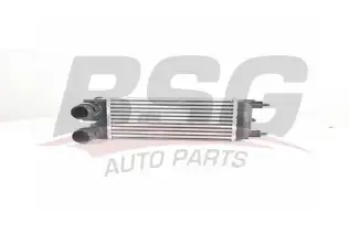 BSG 70535007 Turbo Radyatörü