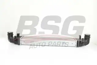 BSG 60535003 Turbo Radyatörü