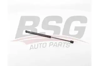 BSG 70980024 Bagaj Amortisörü
