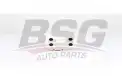 BSG 15506017 Yağ Radyatörü