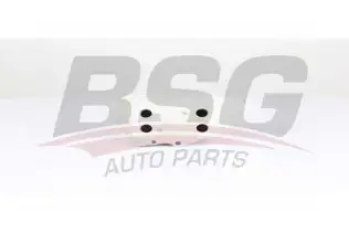 BSG 15506017 Yağ Radyatörü