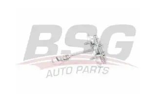 BSG 70975006 Kapı Gergisi Ön