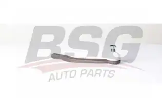 BSG 75310003 Rot Başı Sol