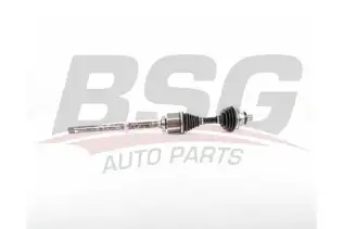BSG 15350027 Aks Komple Ön Sağ