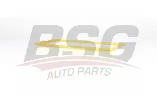 BSG 70135017 Hava Filtresi