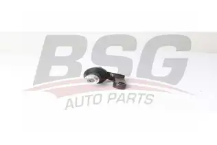 BSG 65310088 Rotil Alt