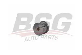 BSG 60700179 Viraj Demir Lastiği Arka