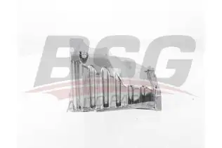 BSG 90160021 Yağ Karteri