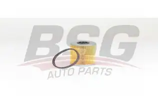 BSG 65130010 Yakıt Filtresi