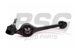 BSG 30310068 Rotilli Kol Sağ