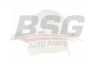 BSG 30550019 Radyatör Yedek Su Deposu