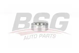 BSG 15605031 Teker Rulmanı Arka