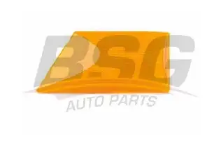 BSG 65810010 Çamurluk Sinyali Sağ