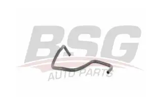 BSG 30720264 Blok Su Manifold Hortumu
