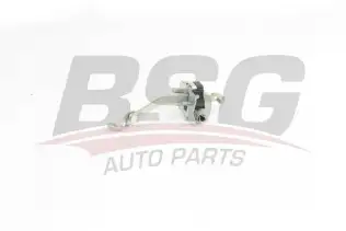 BSG 75975010 Kapı Gergisi Arka