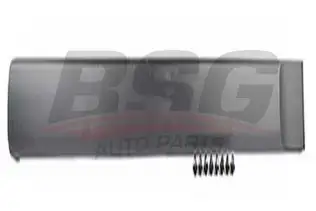 BSG 70924002 Kapı Bandı Ön Sol
